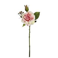 Edelrose rosa 37 cm